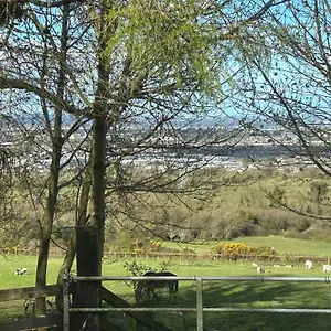 Cozy In A Barn With Farm View Landhuis Dublin